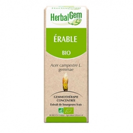 Erable Extrait de Bourgeons Bio 50 ml Herbalgem