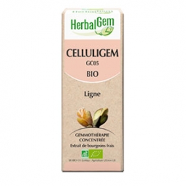 Celluligem Extrait de Bourgeons Complexe Bio