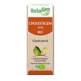 Cholestegem Extrait de Bourgeons Complexe Bio