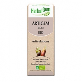 Artigem Extrait de Bourgeons Complexe Bio