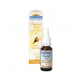 Fleur de Bach Chestnut Bud N°7 20 ml Biofloral