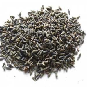 Lavande BIO fleur