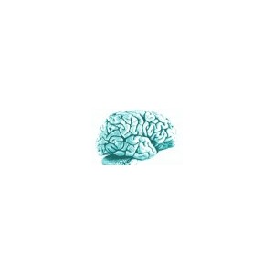 Complexe Magnesium vitamine B6 80 gélules