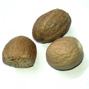 Muscade noix entière