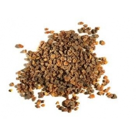 Myrrhe en larme résine