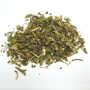 Passiflore plante BIO