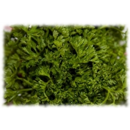Persil feuille séchée
