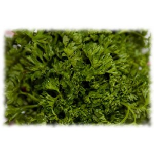 Persil feuille séchée