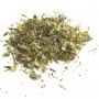 Piloselle plante