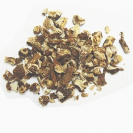 Pissenlit BIO racine