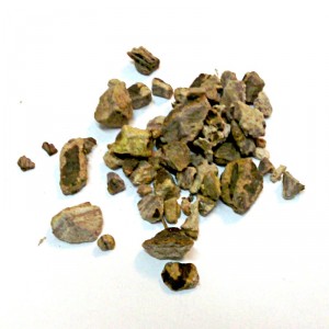 Pivoine officinale racine