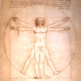 Mélange Plantes pour Hypocras