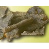 Propolis pure poudre gélules 250mg