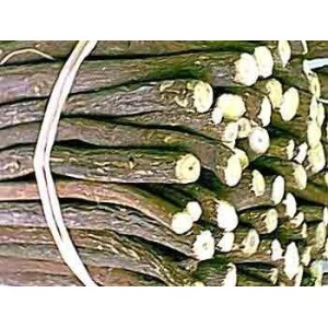 Réglisse bâton BIO