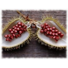 Rocou - Urucum poudre