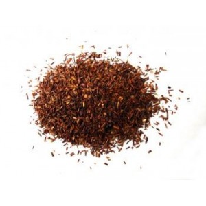 Rooibos plante