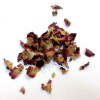 Rose rouge du pakistan pétale