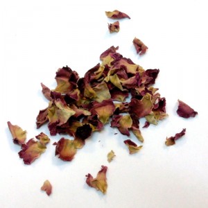 Rose rouge du pakistan pétale