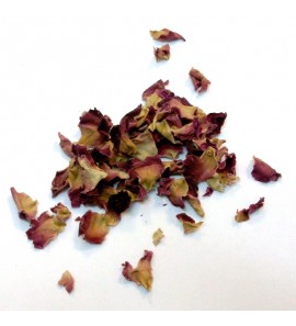 Rose rouge du pakistan pétale