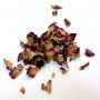 Rose rouge poudre