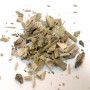 Saule blanc BIO écorce