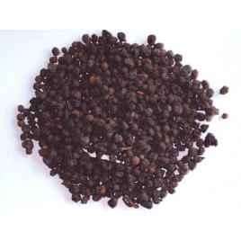 Schizandra baie poudre gélules