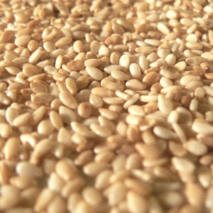 Sésame blanc semence