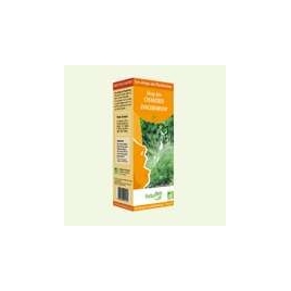 Sirop des Chantres 250ml