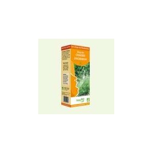 Sirop des Chantres