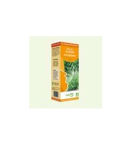 Sirop des Chantres 250ml