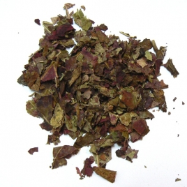 Vigne rouge feuille