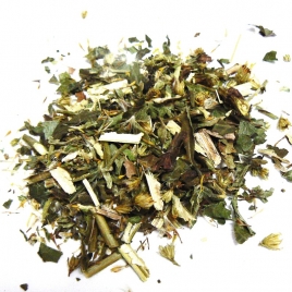 Verge d'or Solidage plante