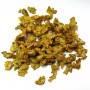 Bouillon blanc fleur