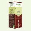Figuier Bourgeon MG BIO