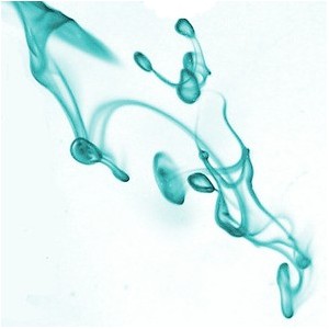 Huile Emulsionnante