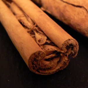 Cannelle Ceylan écorce BIO HECT