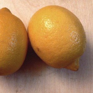 Citron zeste BIO HECT