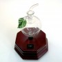 Diffuseur électrique Pomme verte