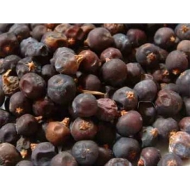 Genièvre baie BIO HECT