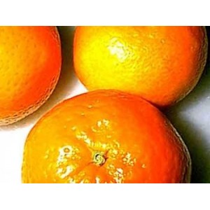 Mandarine rouge zeste HE