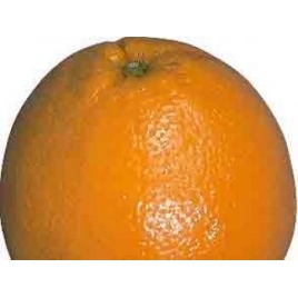 Orange douce zeste HE