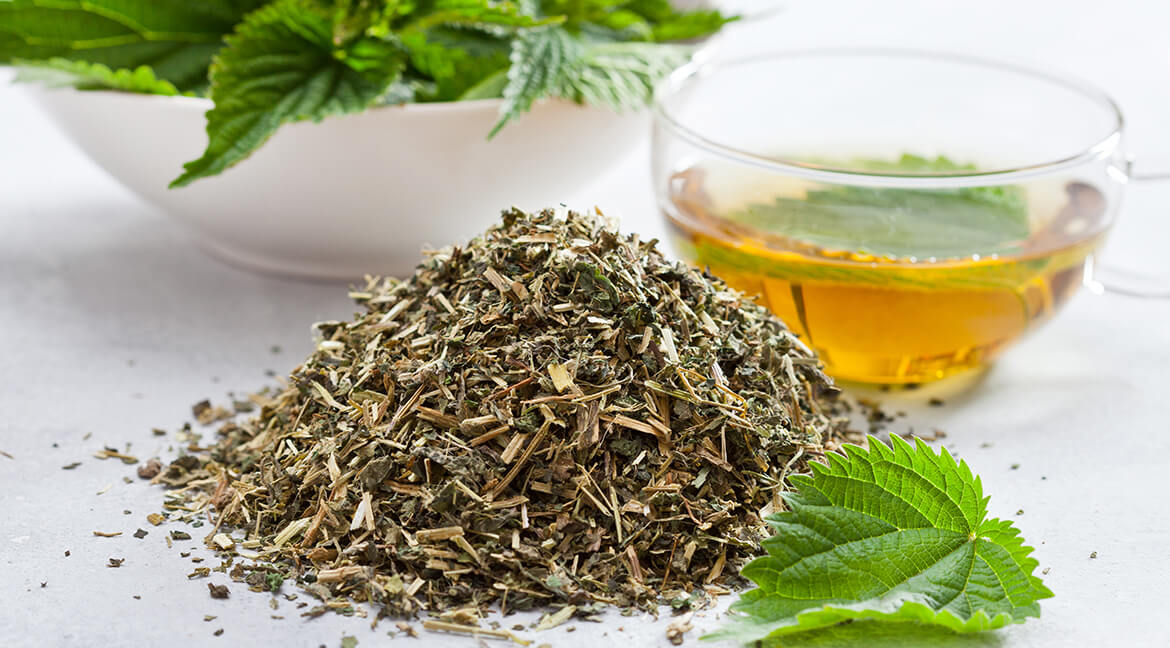 Tisane Ortie Piquante