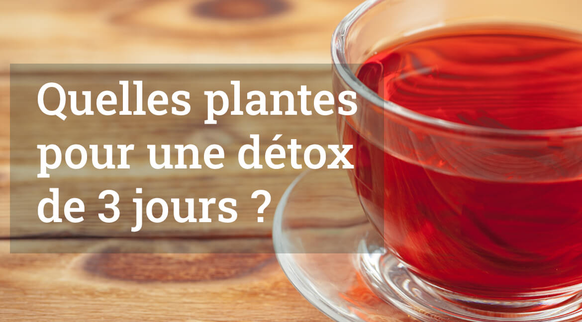 Plantes programme détox 3 jours