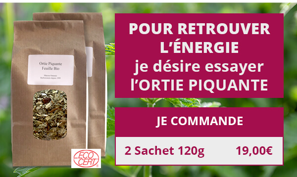 Retrouver l'énergie avec l'Ortie Piquante