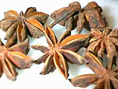 Badiane fruit 70g