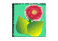 Produits naturels
