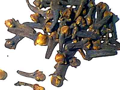 Girofle clou HE 15ml