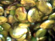 Griffonia ES 250mg 180 g�lu