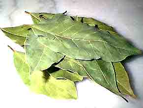 Laurier noble HE 15ml