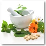 Toutes les plantes